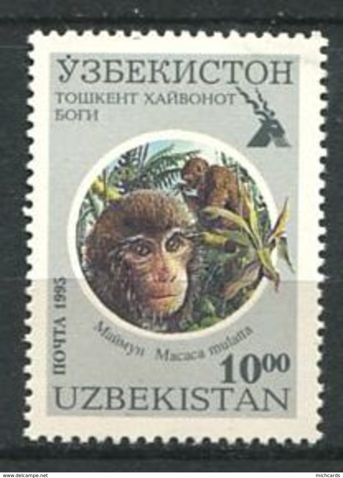 207 OUZBEKISTAN 1995 - Yvert 61 C - Singe - Neuf ** (MNH) Sans Trace De Charniere - Ouzbékistan