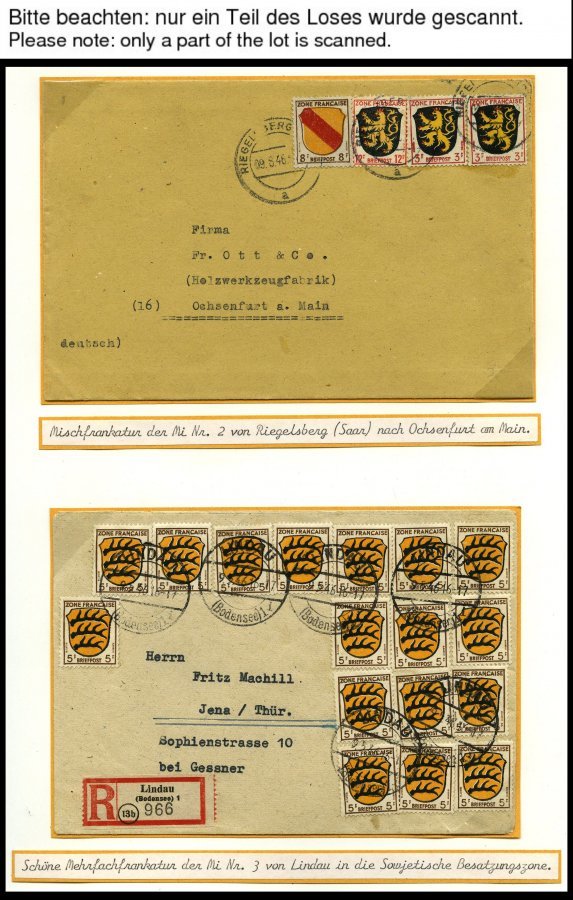 SAMMLUNGEN, LOTS *,**,o,Brief , Umfangreiche Sammlung Französische Zone Von 1945-49 Im SAFE Album Mit Verschiedenen Papi - Other & Unclassified