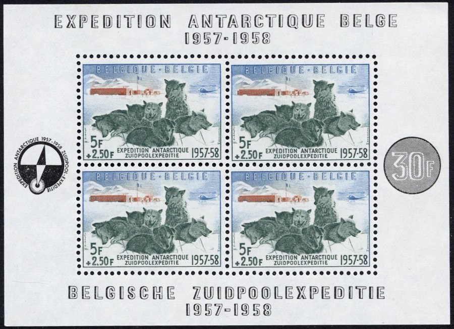 BELGIEN Bl. 25 **, 1957, Block Südpolexpedition, Pracht, Mi. 150.- - België