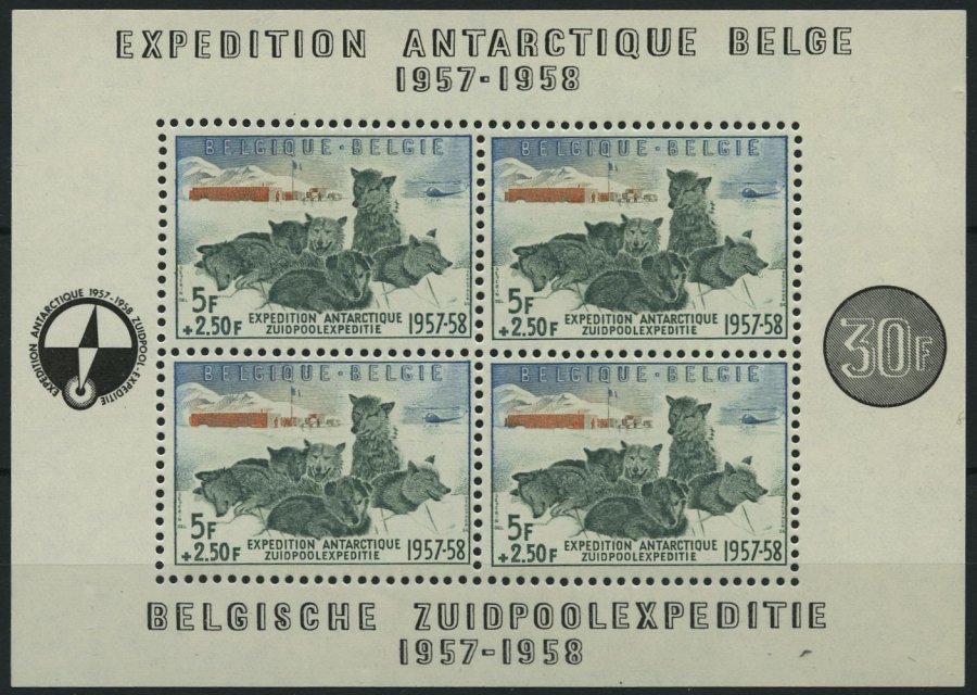 BELGIEN Bl. 25 **, 1957, Block Südpolexpedition, Pracht, Mi. 150.- - Belgium