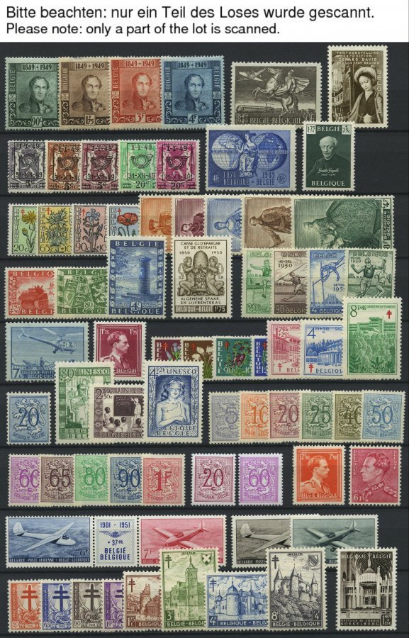 SAMMLUNGEN, LOTS *, Ungebrauchte Sammlung Belgien Von 1949-60 Mit Mittleren Ausgaben, Ab 1955 Bis Auf Bl. 25 Und Mi.Nr. - Collections