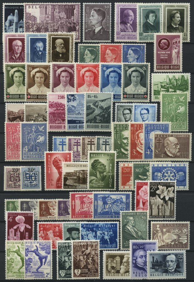 SAMMLUNGEN, LOTS *, Ungebrauchte Sammlung Belgien Von 1949-60 Mit Mittleren Ausgaben, Ab 1955 Bis Auf Bl. 25 Und Mi.Nr. - Colecciones