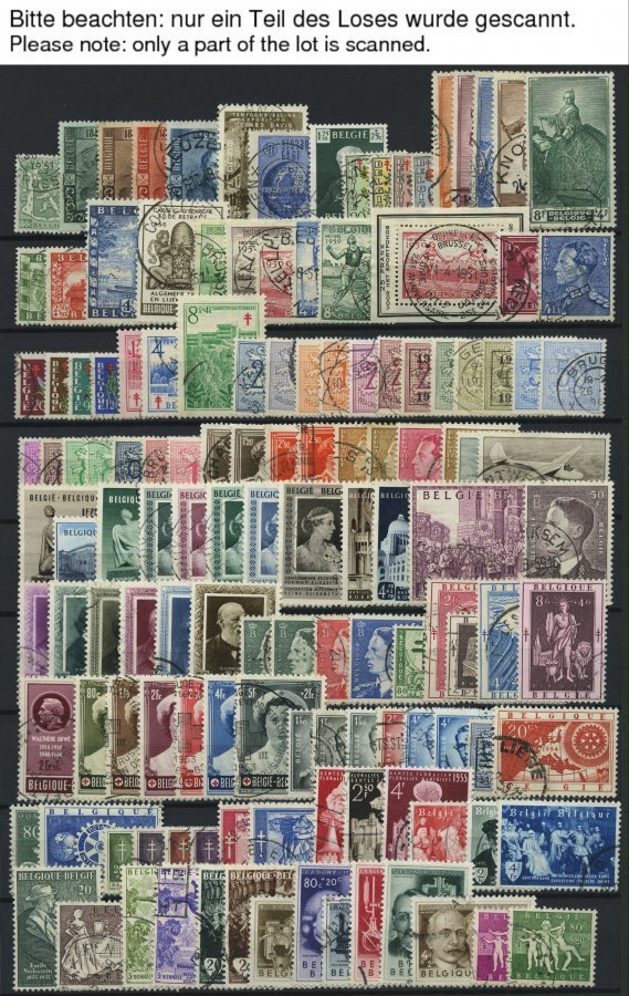 SAMMLUNGEN, LOTS O, Gestempelte Sammlung Belgien Von 1949-75 Auf Einsteckkarten, Ab 1955 Ohne Blocks Recht Komplett, Fas - Colecciones