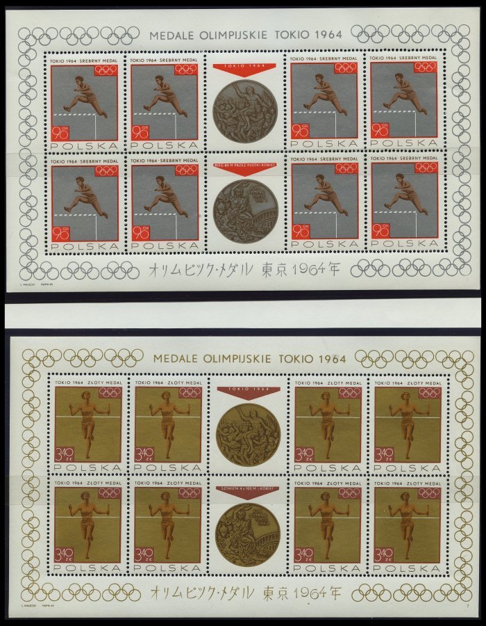 SAMMLUNGEN, LOTS **, Komplette Postfrische Sammlung Polen Von 1964/5 Auf KA-BE Seiten Mit Einigen Kleinbogen Und Zusamme - Collections