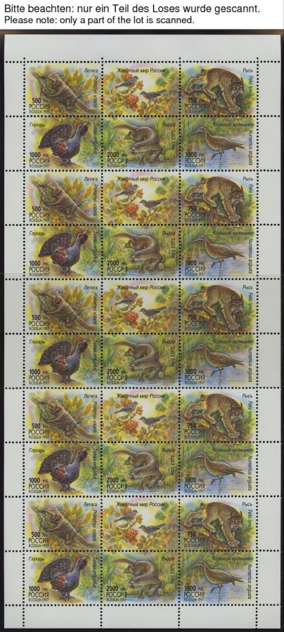 RUSSLAND KB **, 1997, Einheimische Fauna Und Russisches Museum, 5 Kleinbogen (Mi.Nr. 597-601, 623-26), Pracht, Mi. 70.- - Usados