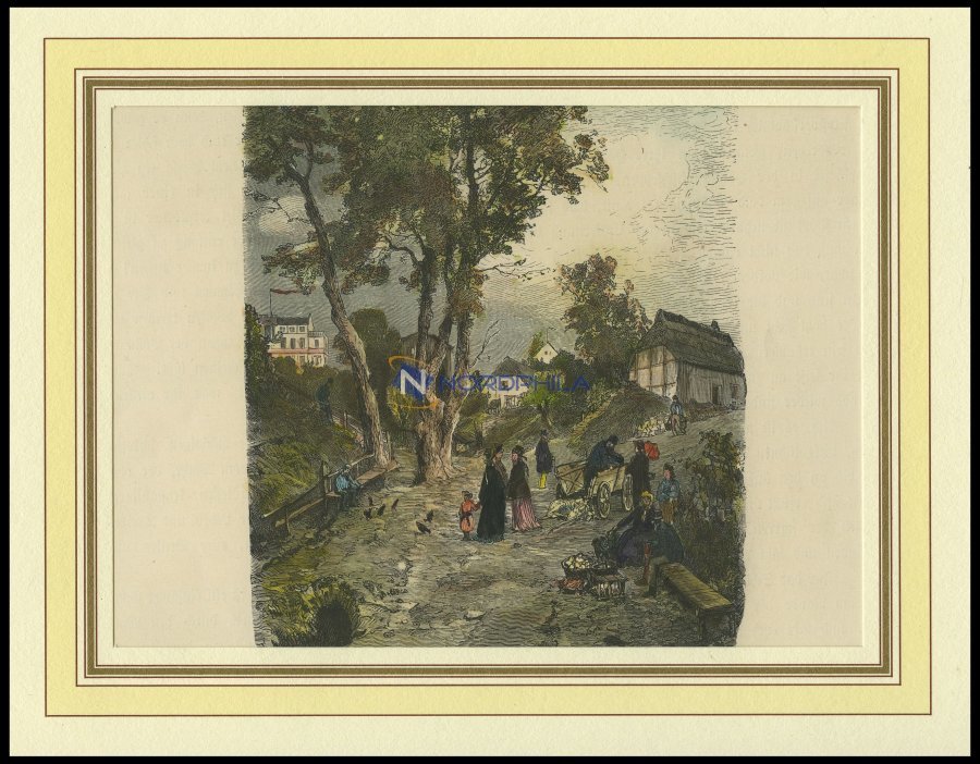 SASSNITZ, Gesamtansicht, Kolorierter Holzstich Von G.Schönleber Von 1881 - Litografía