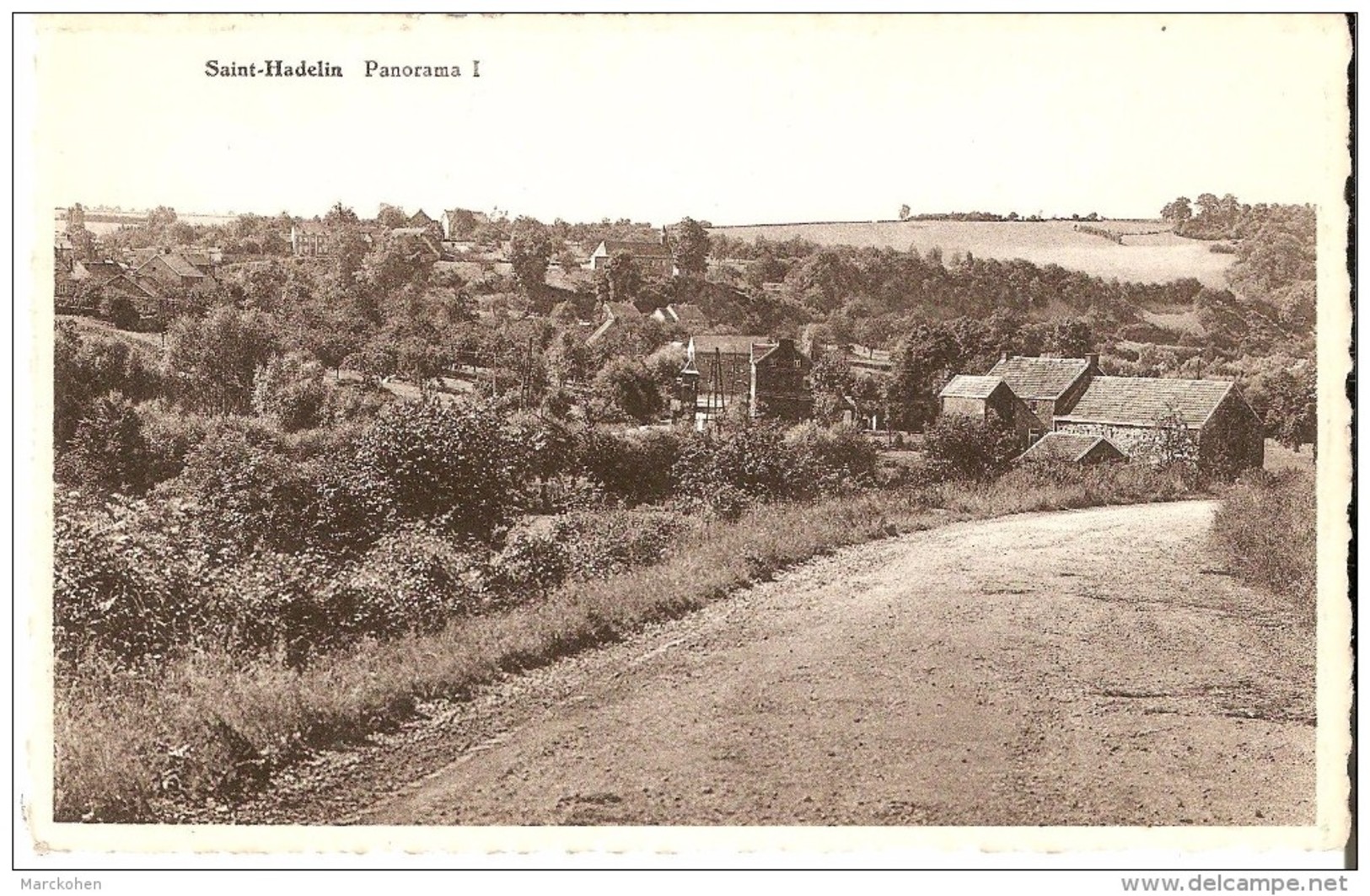 OLNE (4877) : Saint-Hadelin. Panorama 1. CPSM. - Olne