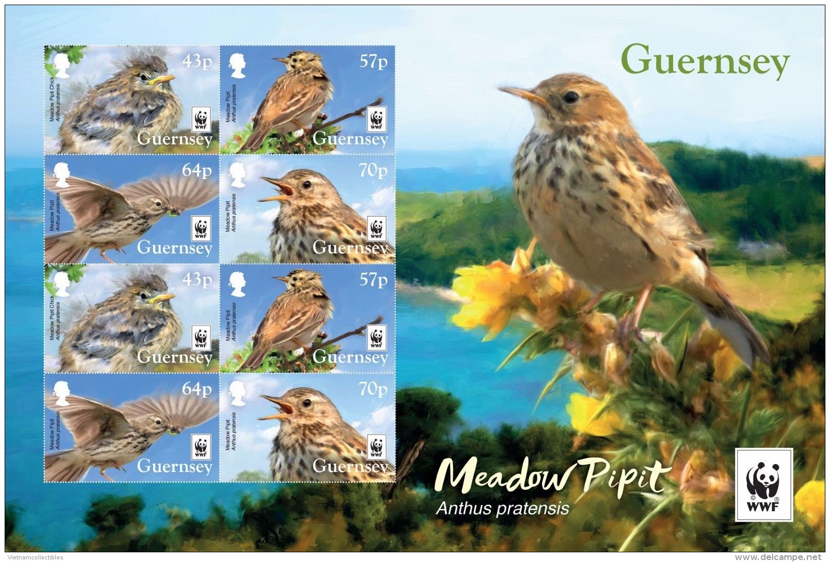 W.W.F. WWF Guernsey MNH Perf Sheetlet 2017 : Birds / Bird / Meadow Pipit - Unused Stamps