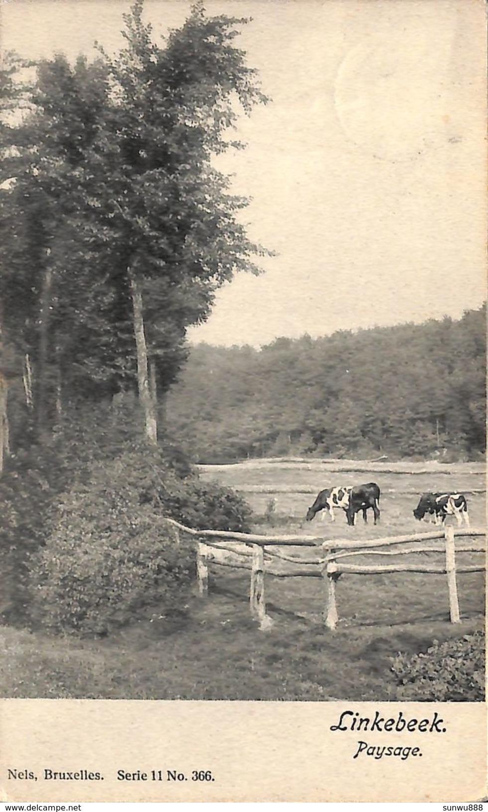 Linkebeek - Paysage (vaches, 1902) - Linkebeek