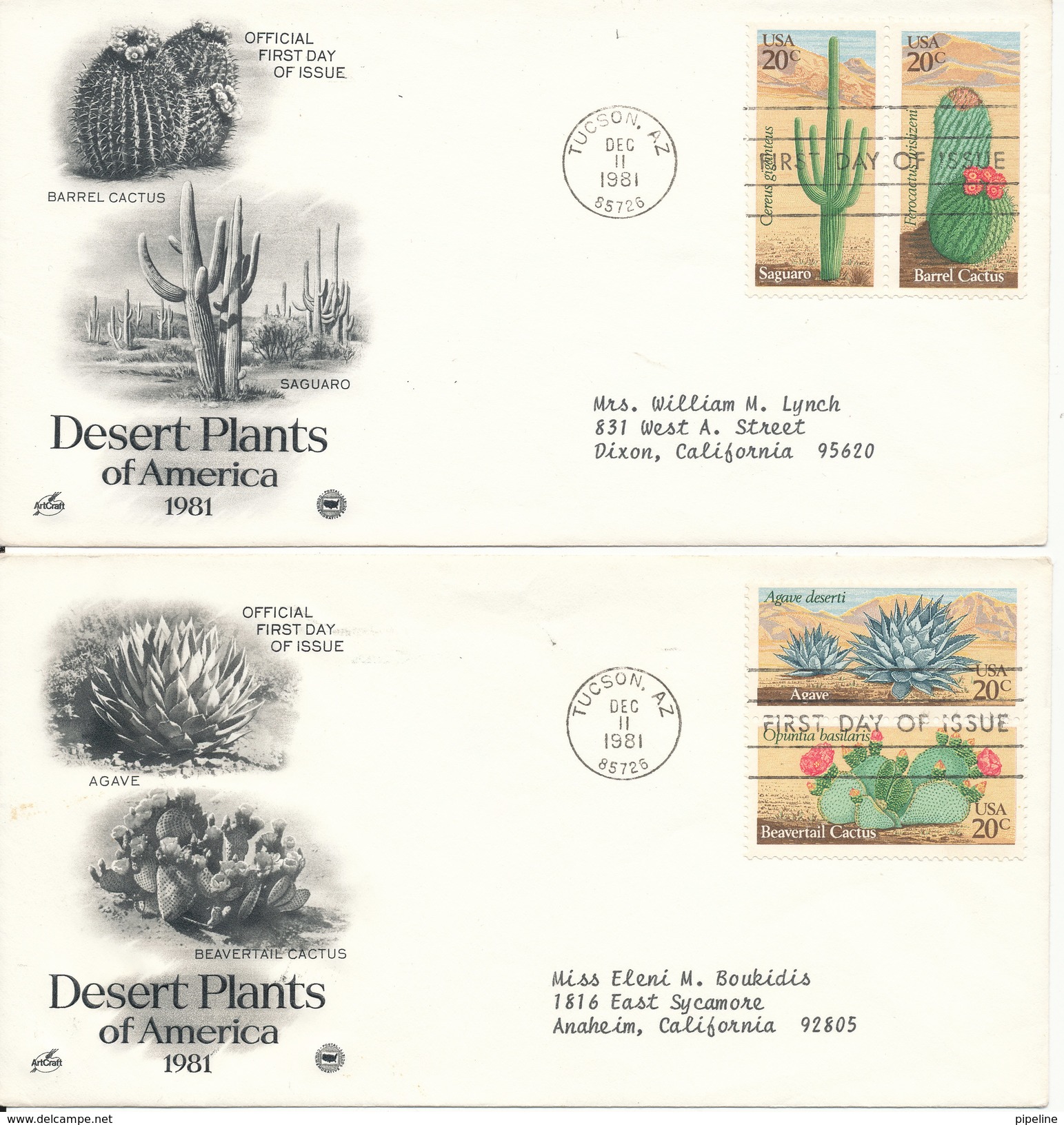 USA FDC 11-12-1981 Complete Set Of 4 Dessert Plants Of America On 2 Covers With ArtCraft Cachet - Cactusses