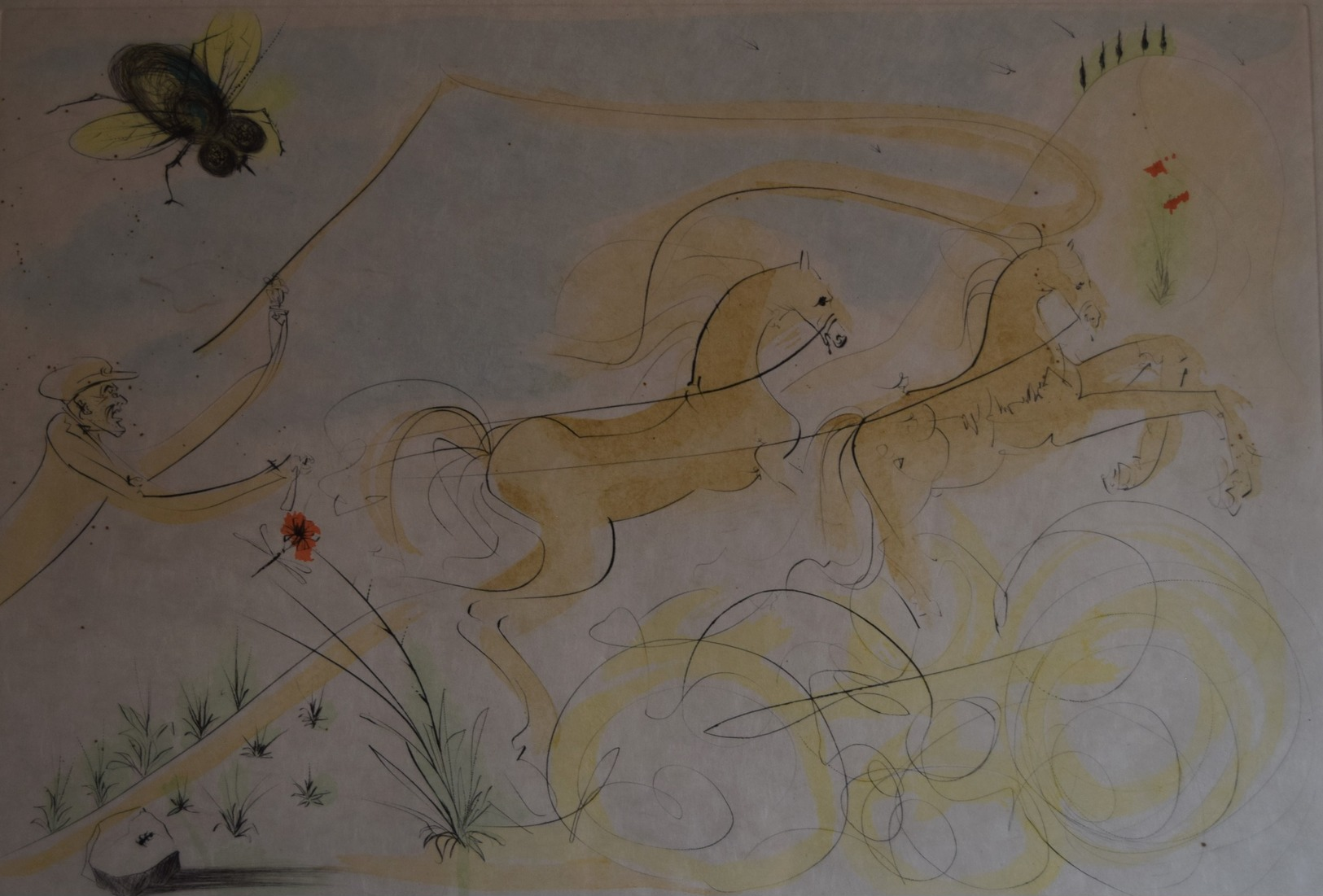 Salvador Dali - Le Coche Et La Mouche. Le Bestiaire De La Fontaine Dalinisé, E.O Signée & Numérotée 1974 - Lithographies