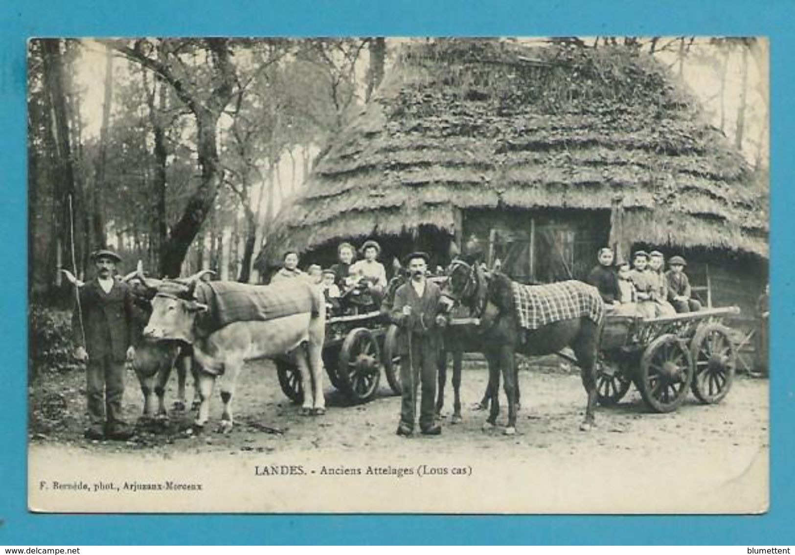 CPA - Anciens Attelages LANDES 40 - Otros & Sin Clasificación