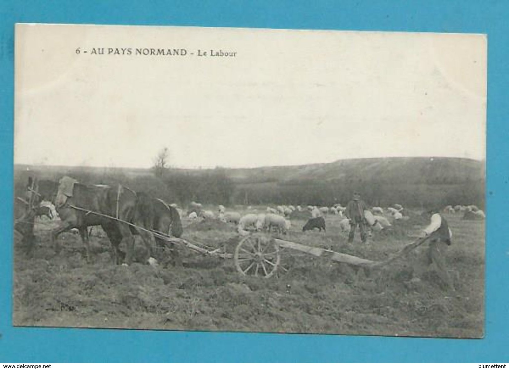 CPA 6 - Berger - Le Labour Charrue AU PAYS NORMAND 14 - Autres & Non Classés