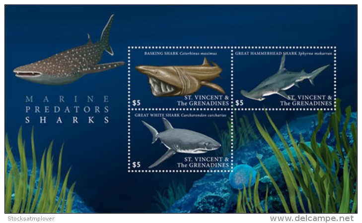 St. Vincent And The Grenadines 2017 Fauna Flora Marine Life Sharks -I70113 - Marine Life