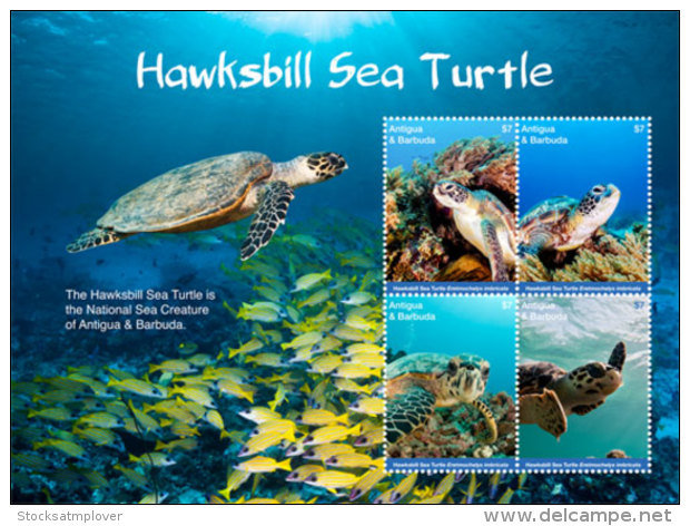 Antigua And Barbuda-2017  Fauna And Flora, Marine Life, Turtles-I70045 - Marine Life