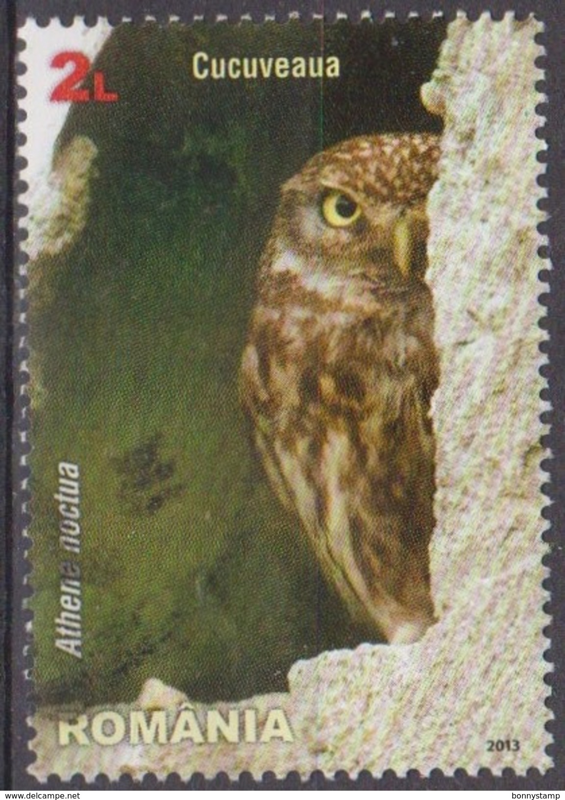 Romania, 2013 - 2l Athene Noctua - Nr.5460 Usato° - Usati