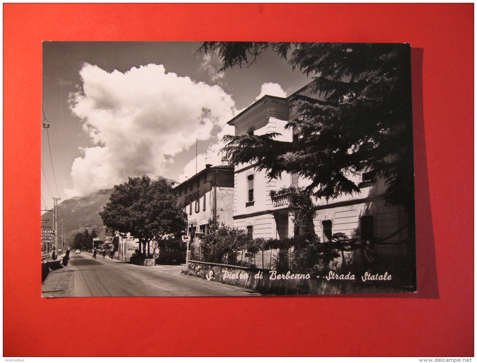 CARTOLINA S PIETRO BERBENNO STRADA STATALE     ANIMATA  C- 571 - Sondrio