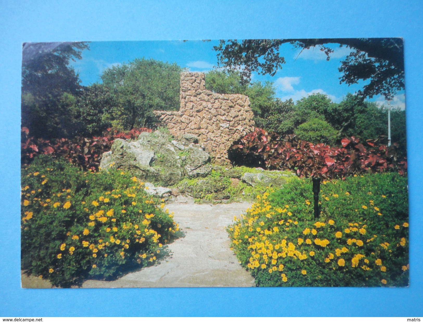 Barton Springs - Austin - Texas - Zilker Gardens - Zilker Park - Austin