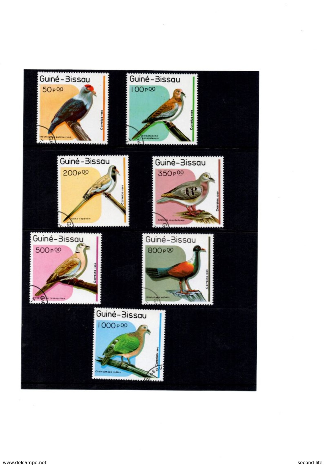 Birds - Guinea-Bissau