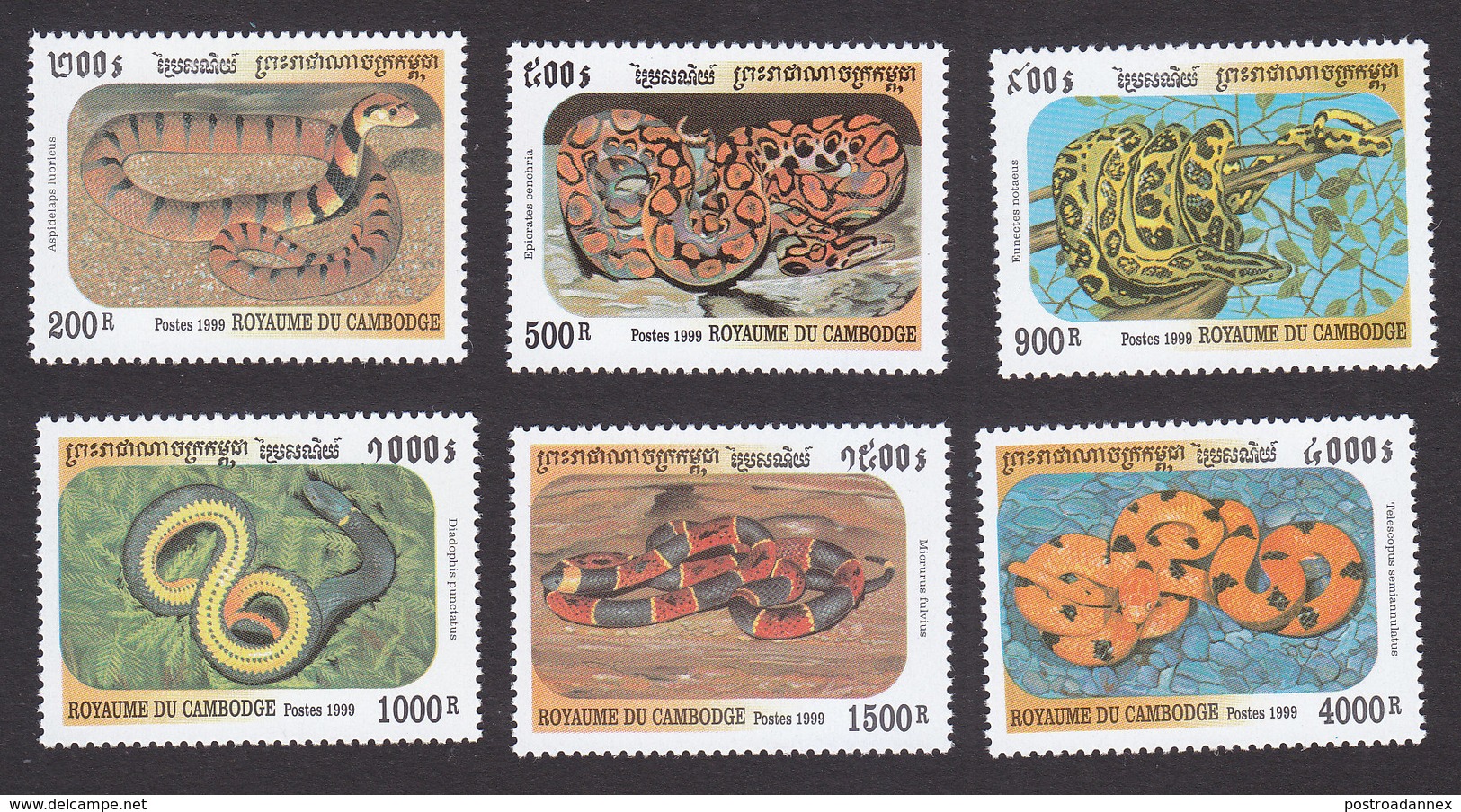 Cambodia, Scott #1860-1865, Mint Hinged, Snakes, Issued 1999 - Cambogia