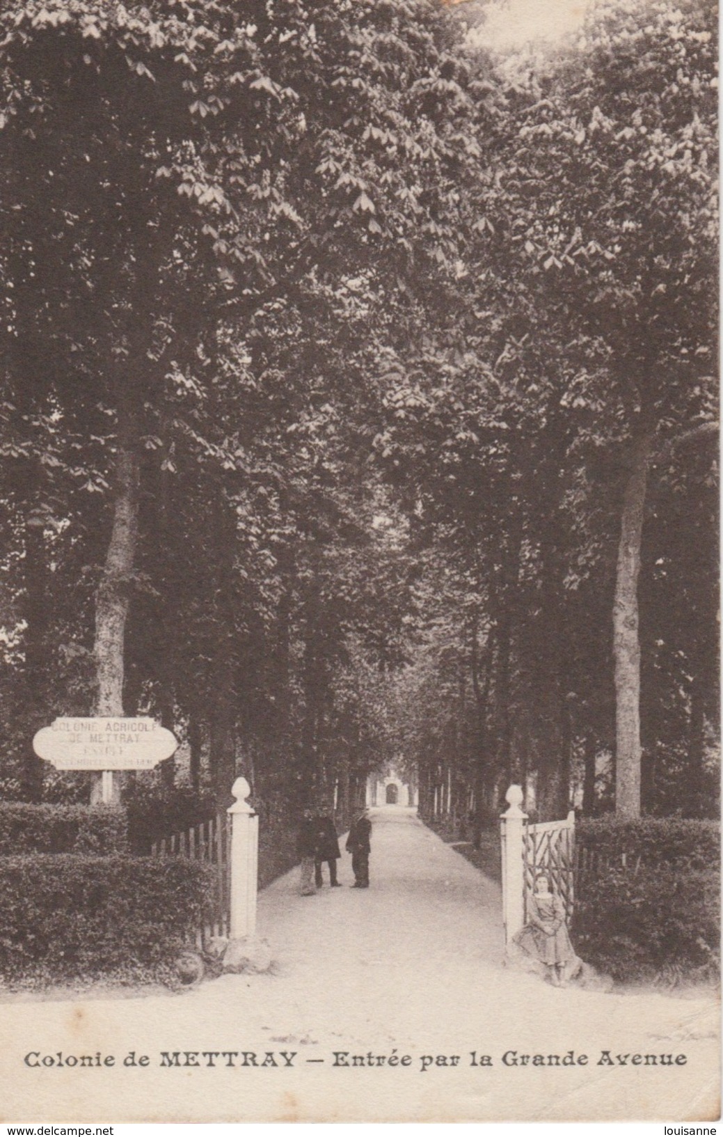 17 / 8 / 323  -    COLONIE    DE  METTRAY  ( 37 )  -  ENTRÉE  PAR  LA  GRANDE  AVENUE - Mettray