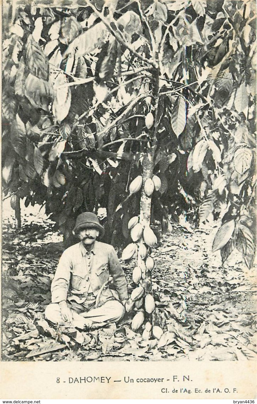 PORTO NOVO - BENIN - DAHOMEY - UNE COCAOYER - CPA édit; Agence De L'AOF - TB. - Benin