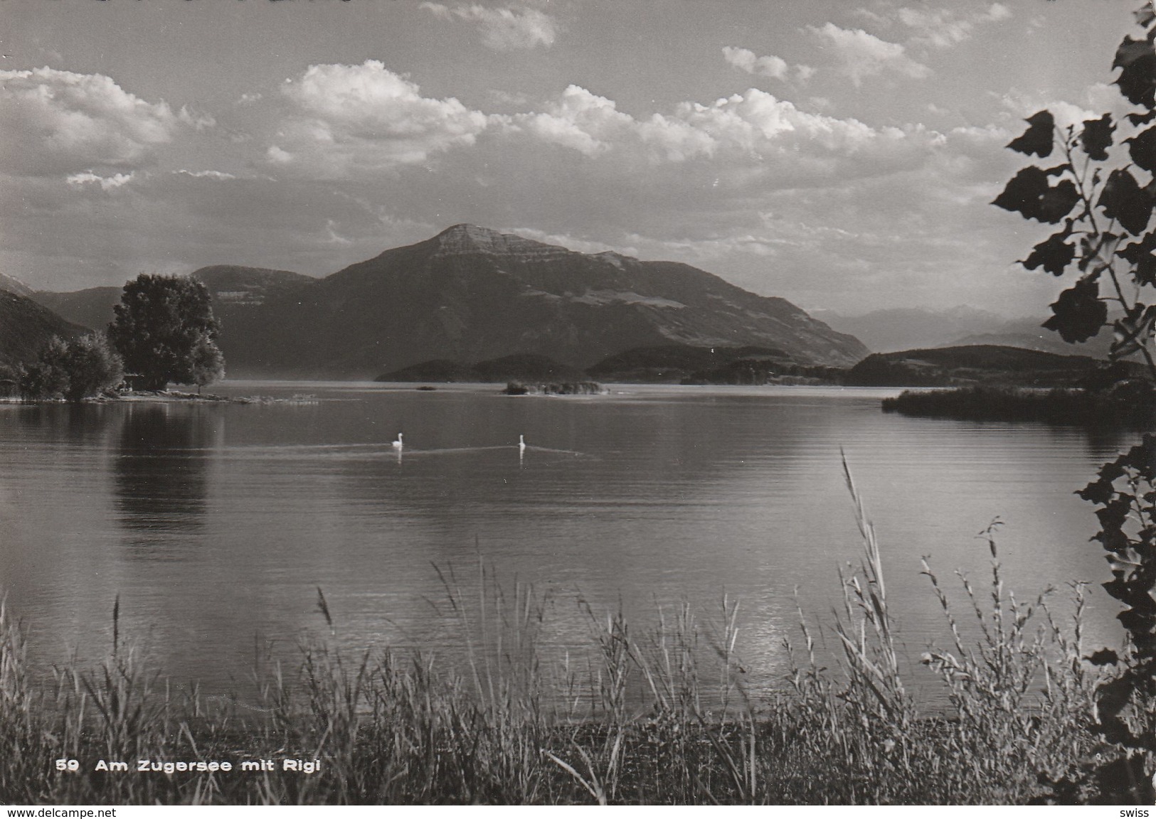 AM ZUGERSEE MIT RIGI - Autres & Non Classés