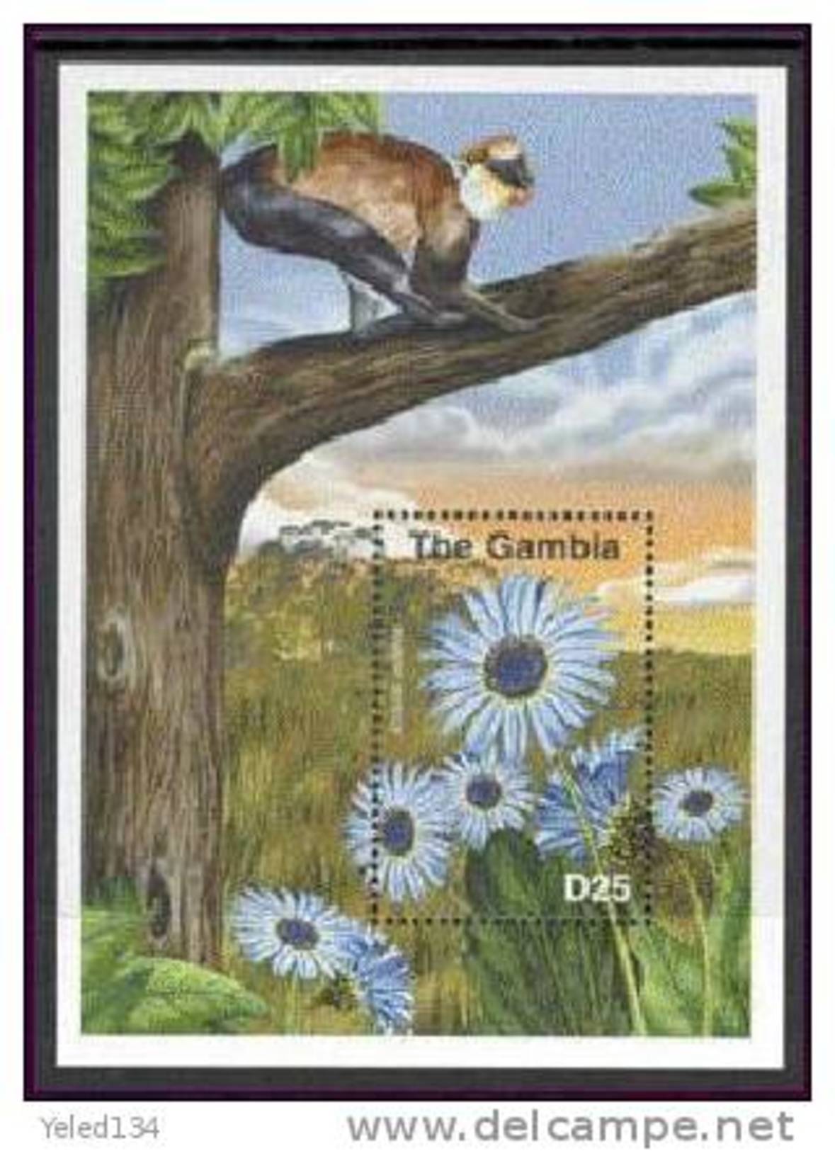 MINT NEVER HINGED SOUVENIR SHEET OF FLOWERS - ORCHIDS  ; ANIMALS ( GAMBIA   2463 - Autres & Non Classés