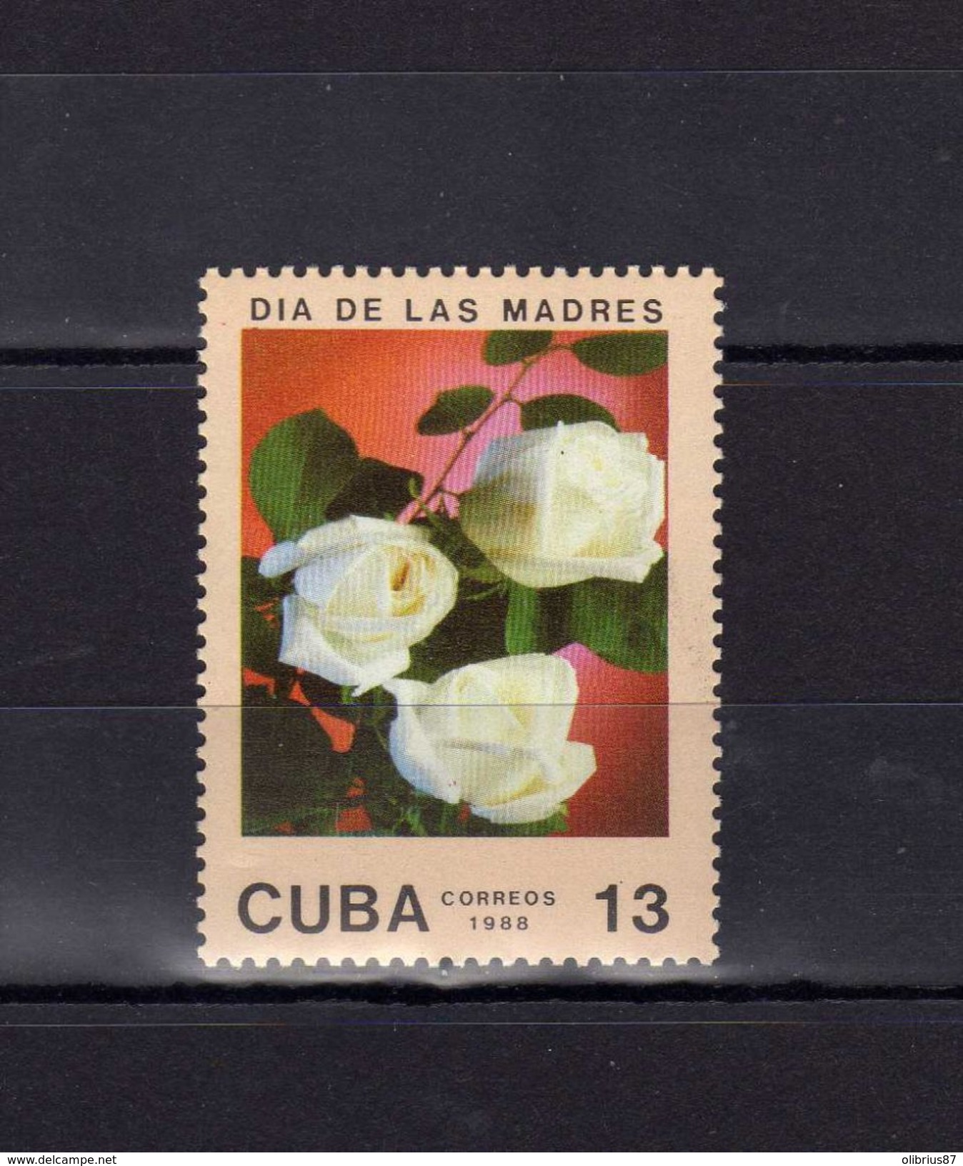 Cuba Fête Des Mères Dia De Las Madres 1988 Fleurs Roses - Muttertag