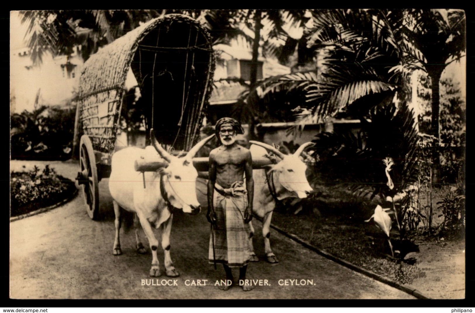 RPPC  Bullock Cart  & Driver Sri Lanka (Ceylon)  Ref 2676 - Sri Lanka (Ceylon)