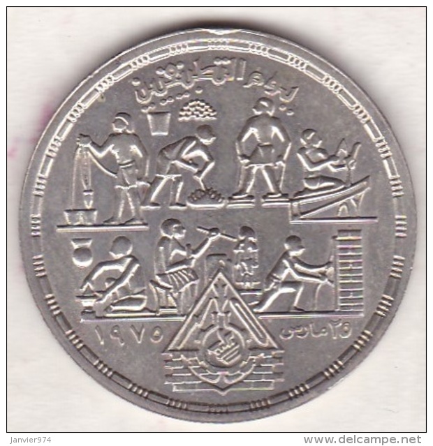 Egypte. 1 Pound 1980 &ndash; HA 1400. Applied Professions Of Egypt. Argent.  KM# 510 - Egipto