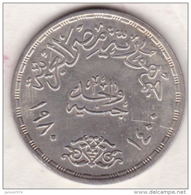 Egypte. 1 Pound 1980 &ndash; HA 1400. Applied Professions Of Egypt. Argent.  KM# 510 - Egipto