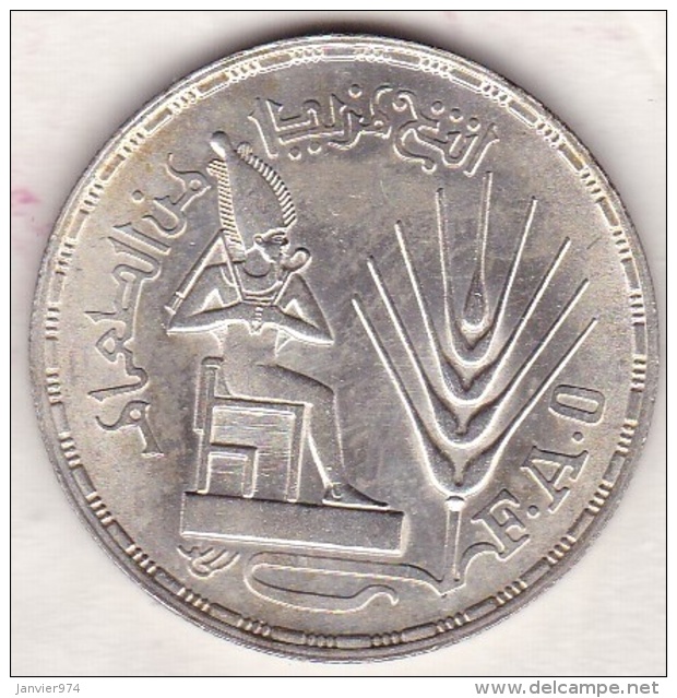 Egypte. 1 Pound 1976 &ndash; HA 1396  . F.A.O. Argent.  KM# 453 - Egipto