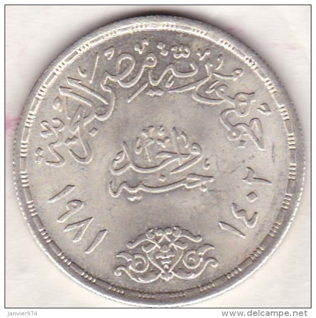 Egypte. 1 Pound 1981 &ndash; AH 1402. Trade Union. Argent.  KM# 527 - Egypte