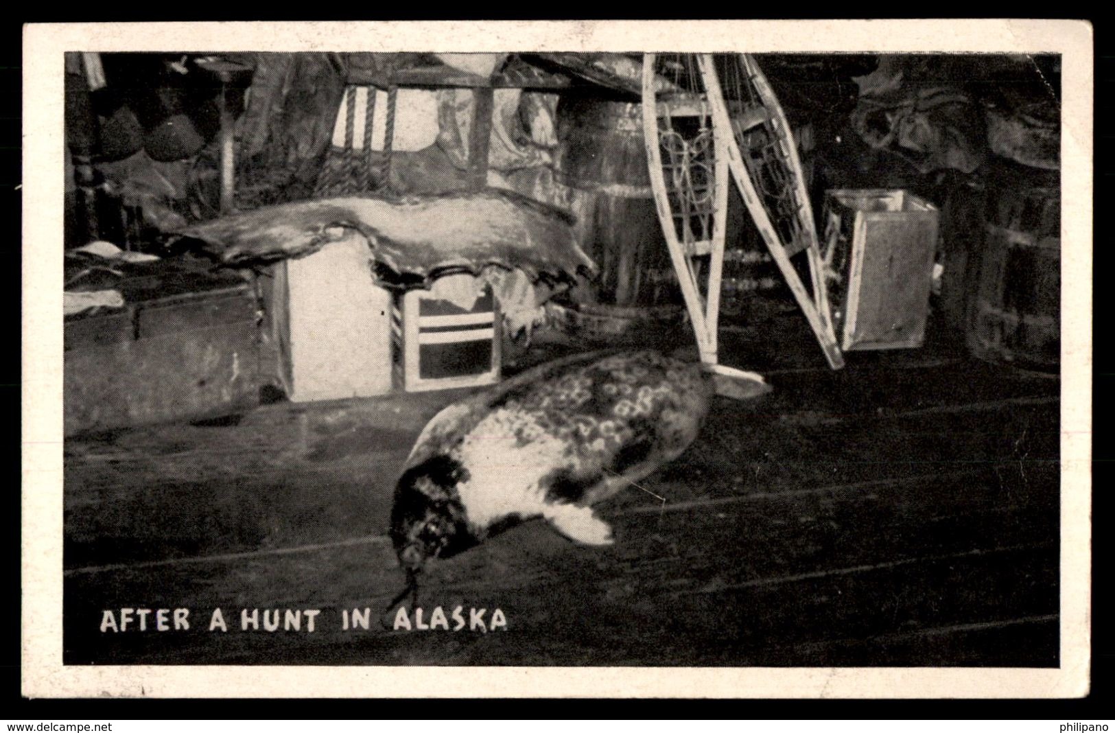 After A Hunt In Alaska  Ref 2677 - Other & Unclassified