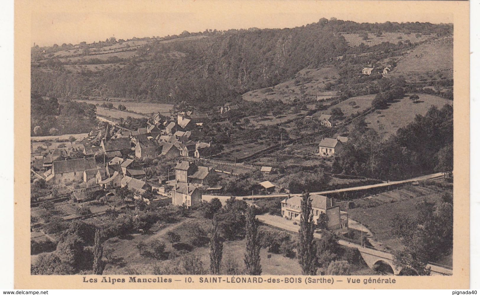 Cp , 72 , SAINT-LÉONARD-des-BOIS , Vue Générale - Saint Leonard Des Bois