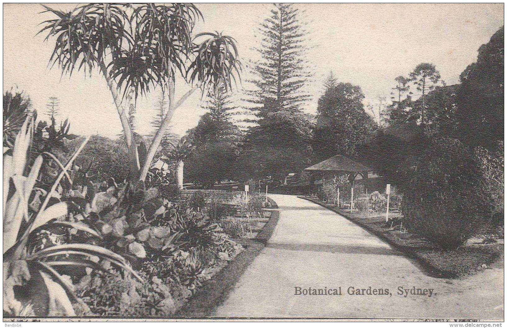Sydney  - Botanical Garden's  - 2 Scan - Sydney