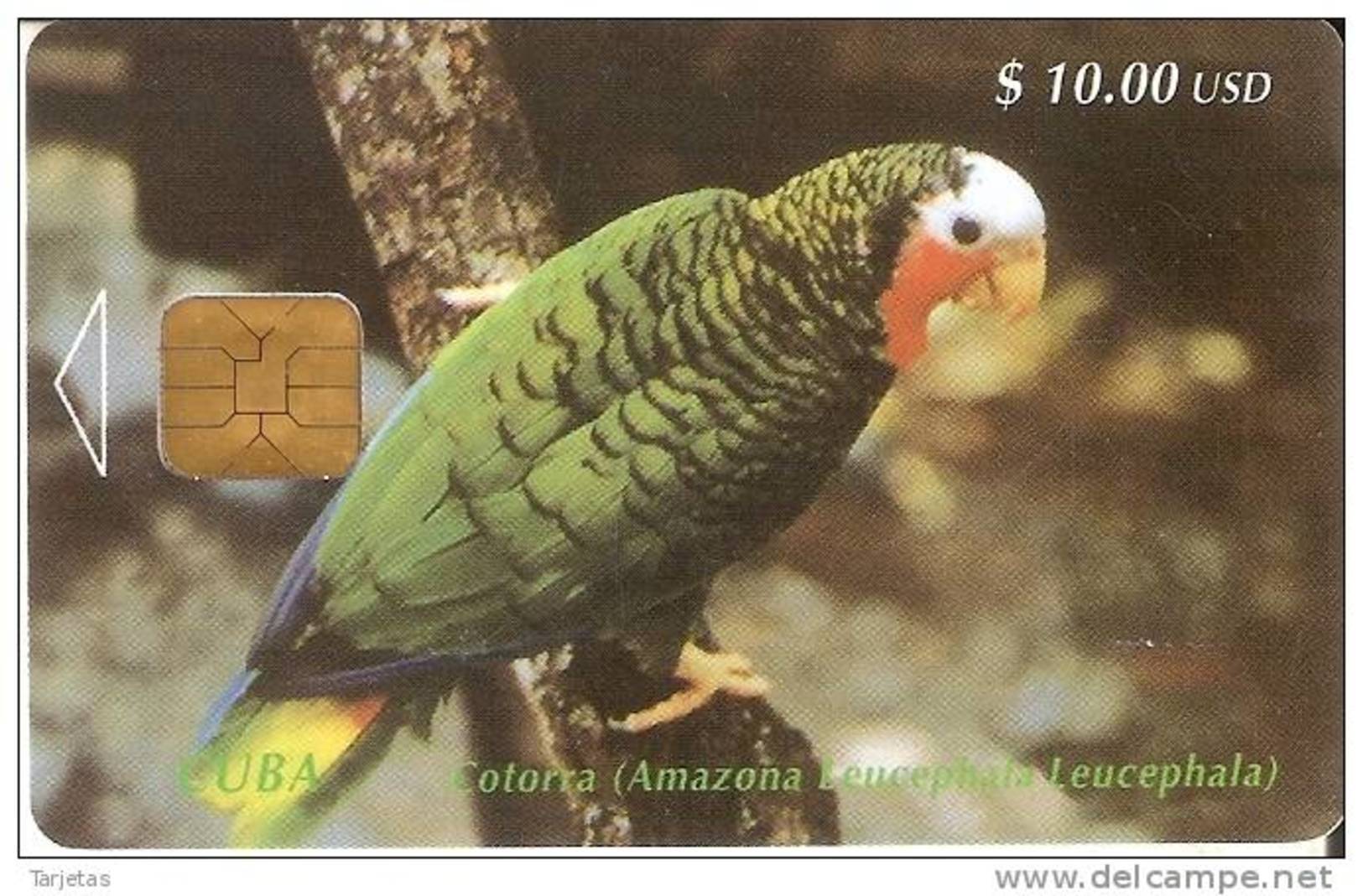 TARJETA DE CUBA DE UN LORO VERDE (COTORRA-PARROT) PRIMERA EMISION - Papegaaien & Parkieten