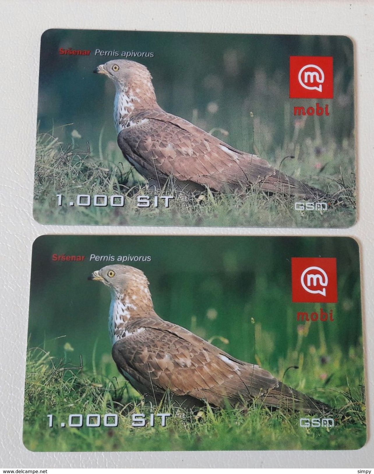 SLOVENIA Bird Honey Buzzard  Srsenar  Light & Dark Prepaid Phonecard - Águilas & Aves De Presa