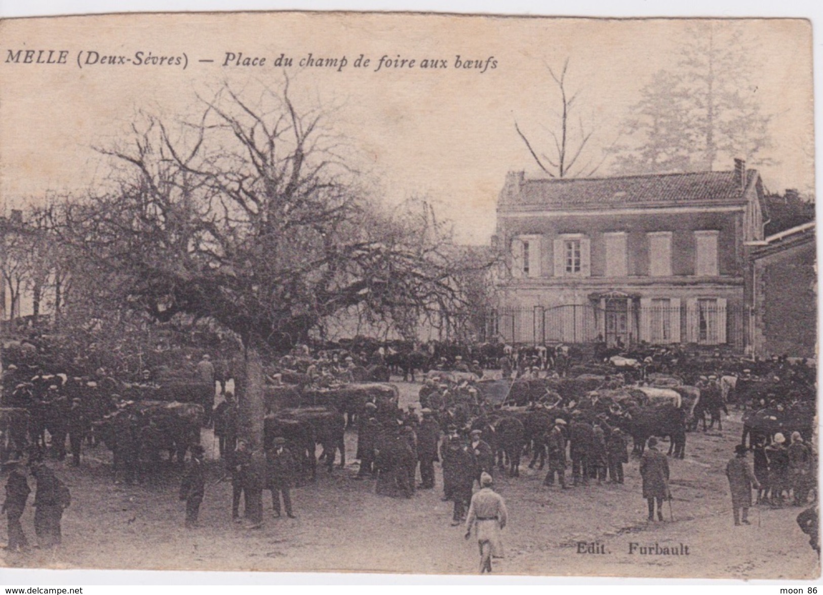 79 - MELLE SUR BELLE -MARCHÉ AU BOEUFS SUR LA  PLACE DU CHAMP DE FOIRE - Melle