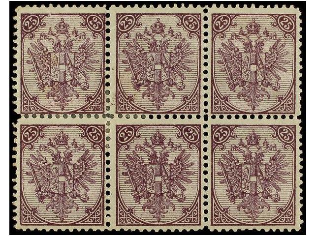 **/* BOSNIA-HERZEGOVINA. Fe.9 I (6). 1879. 25 Kr. Violet, Perf. 11 1/2. Block Of 6 Hinged (only One Never Hinged). Fresh - Autres & Non Classés