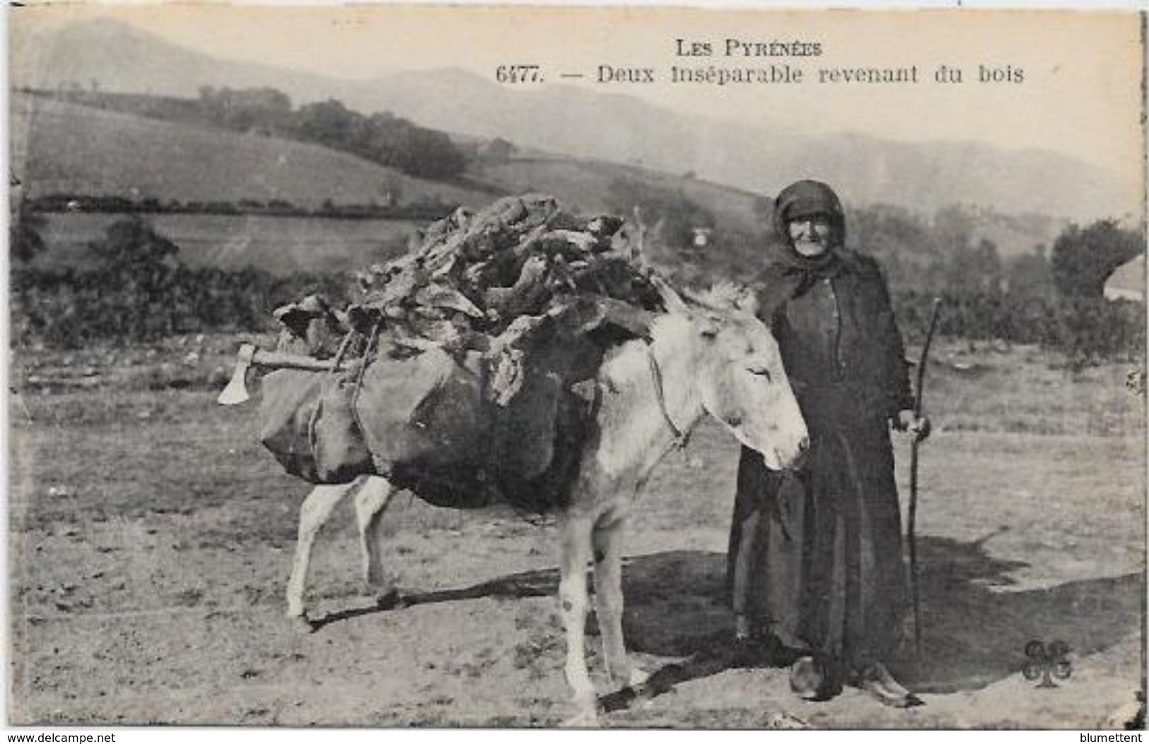 CPA  Attelage Campagne Travaux Des Champs Métier Non Ciculé Pyrénées - Teams