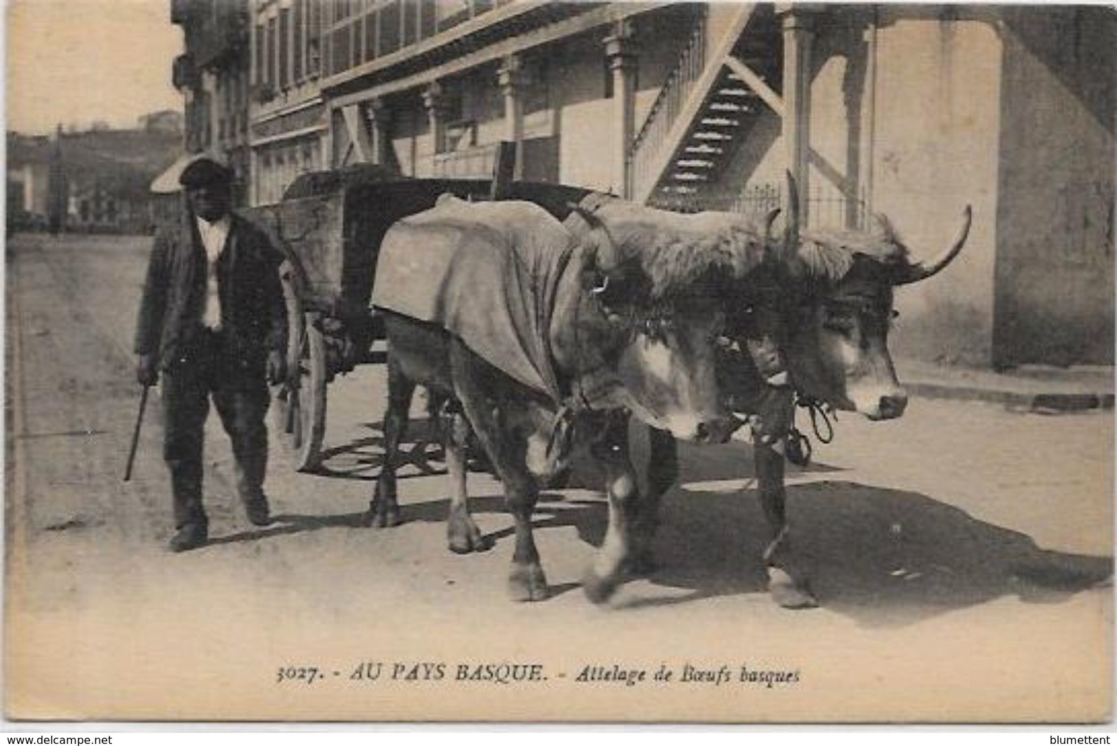 CPA  Attelage Campagne Travaux Des Champs Métier Non Ciculé Pays Basque - Wagengespanne