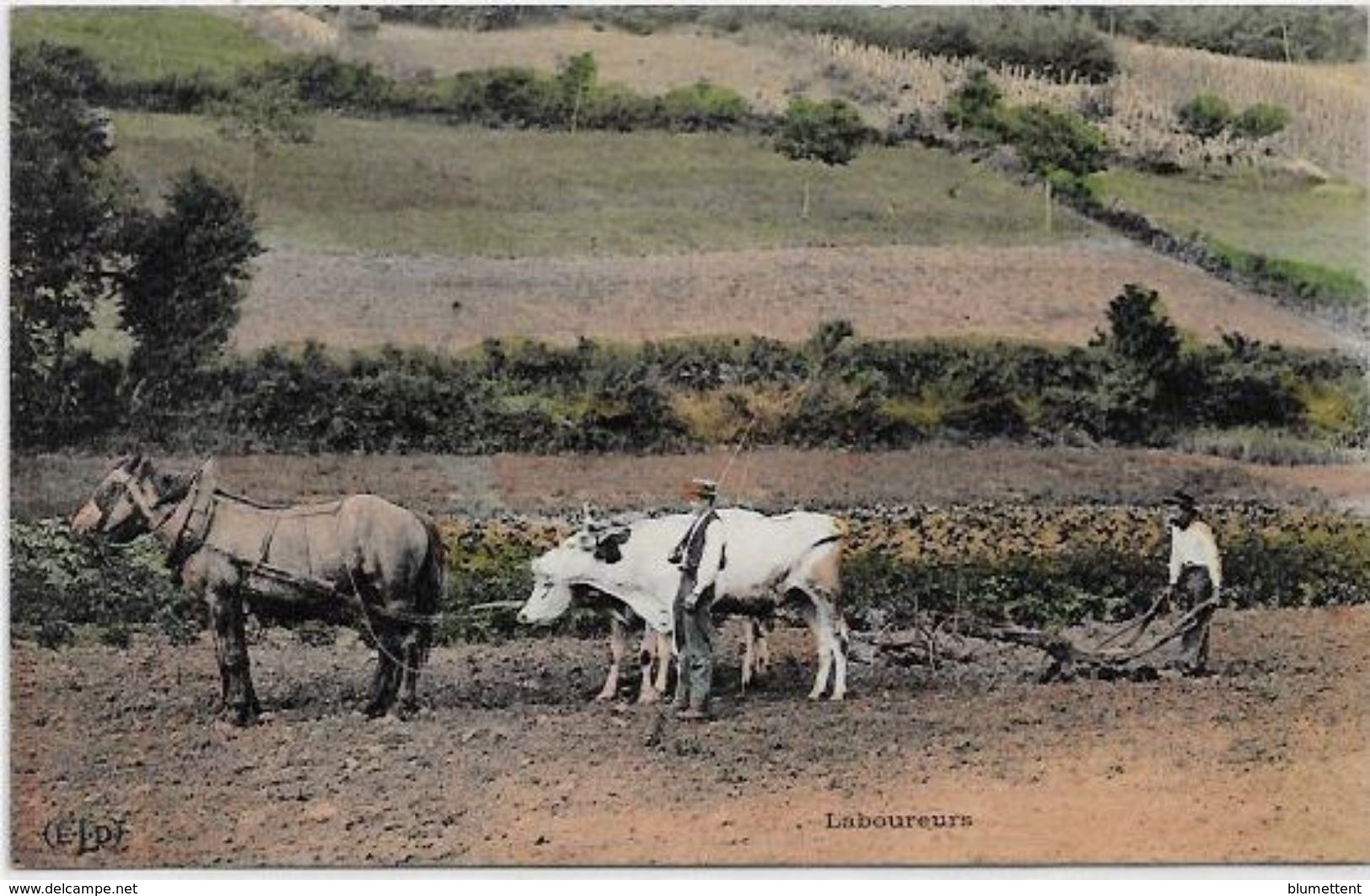 CPA  Attelage Campagne Travaux Des Champs Métier Non Ciculé - Attelages