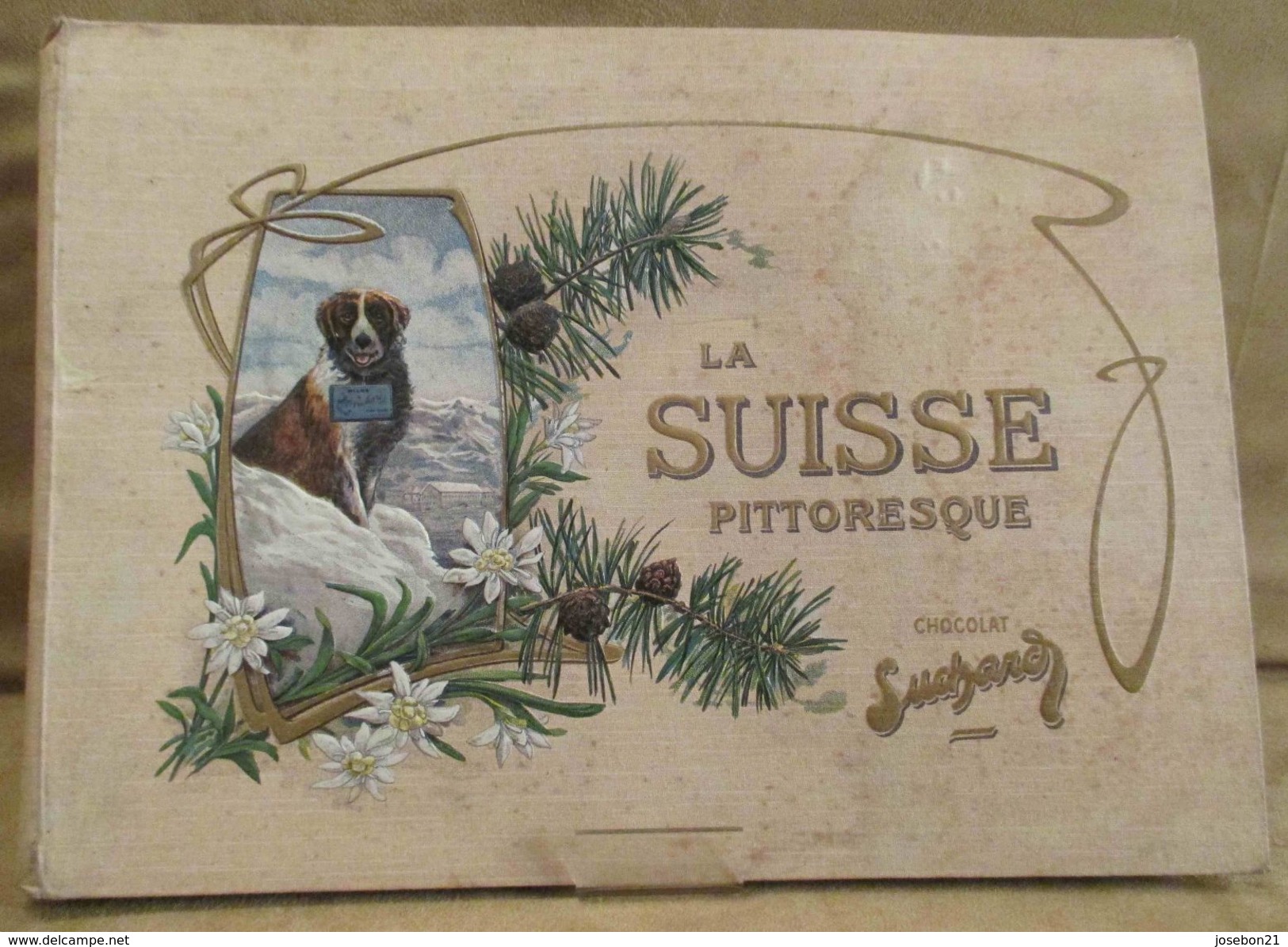 Ancien Album Suchard Vignette Photo Sur La Suisse Pitoresque, Art Nouveau 1903 - Chocolate