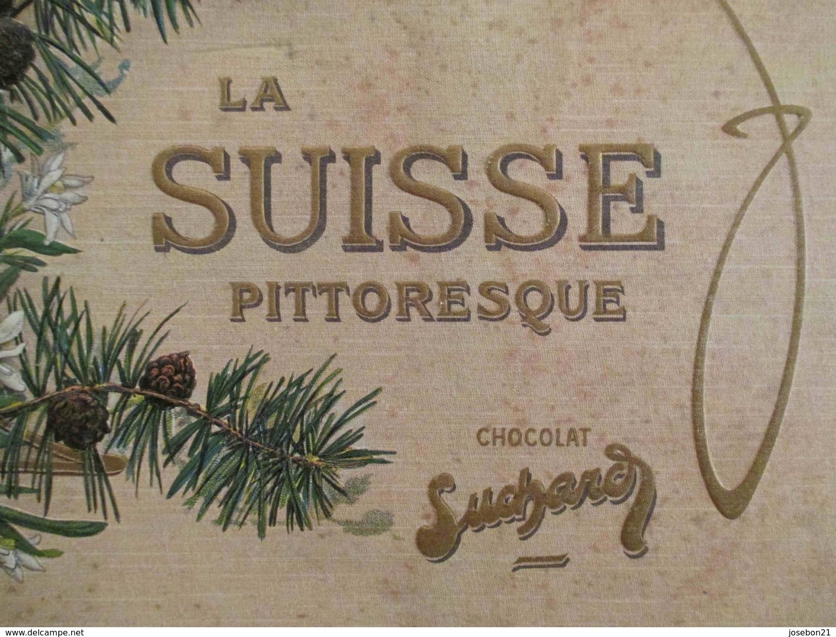 Ancien Album Suchard Vignette Photo Sur La Suisse Pitoresque, Art Nouveau 1903 - Chocolate