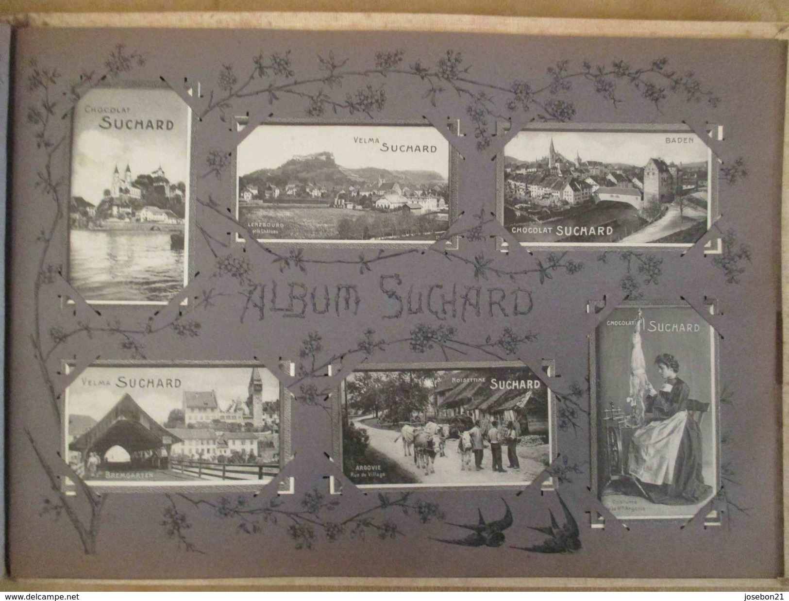 Ancien album suchard vignette photo sur la Suisse pitoresque, art nouveau 1903