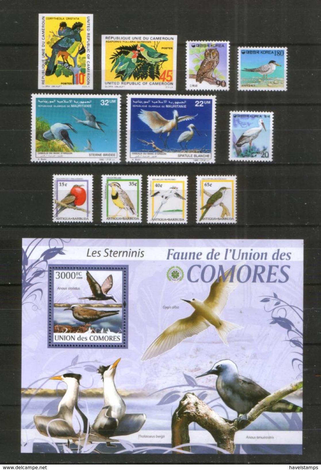 Vögel ** Lot - Kamerun Mauretanien Komoren Südkorea ... // Birds - Konvolute & Serien