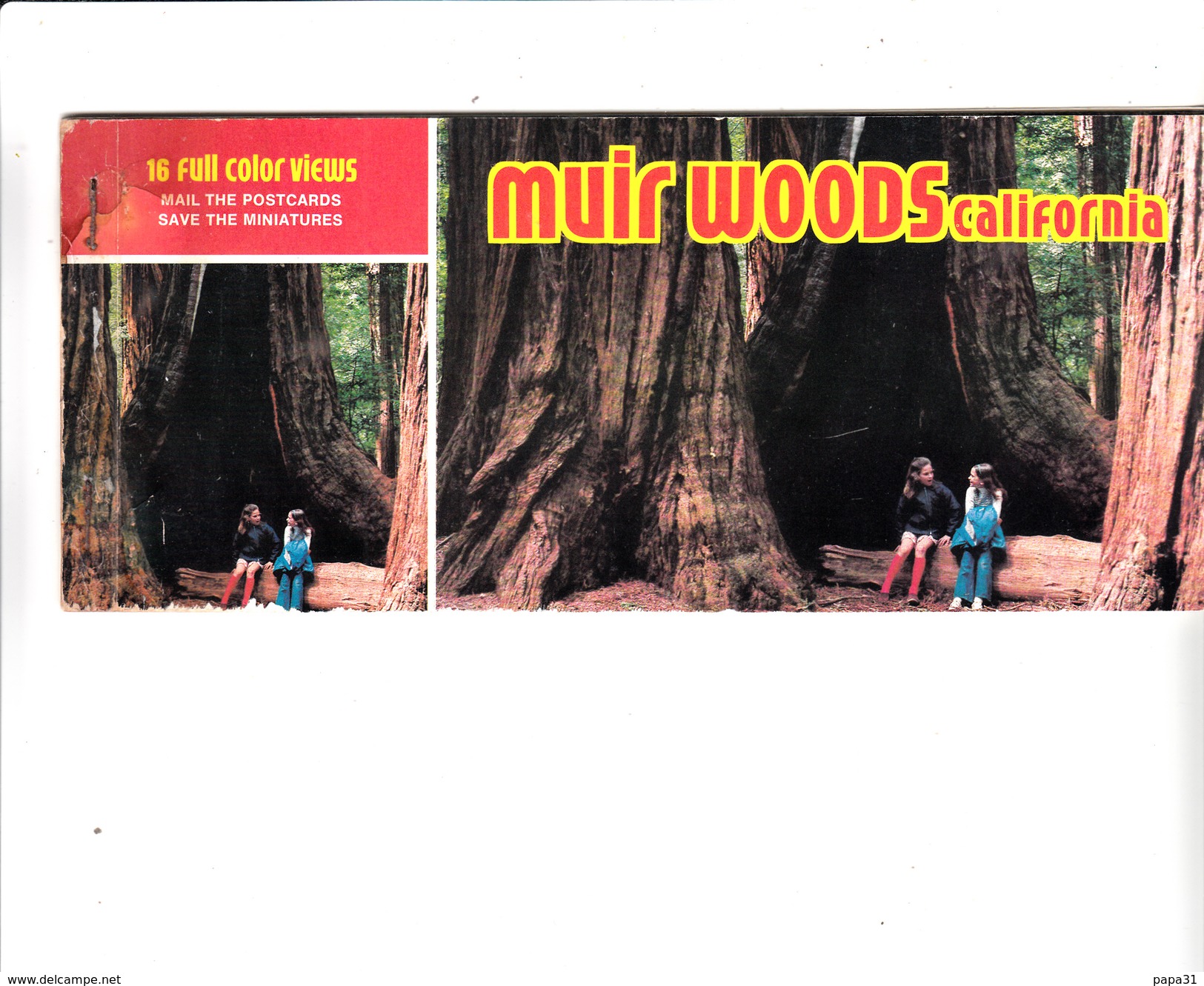 MUIR WOODS  CALIFORNIA  ( Carnet) - Bomen