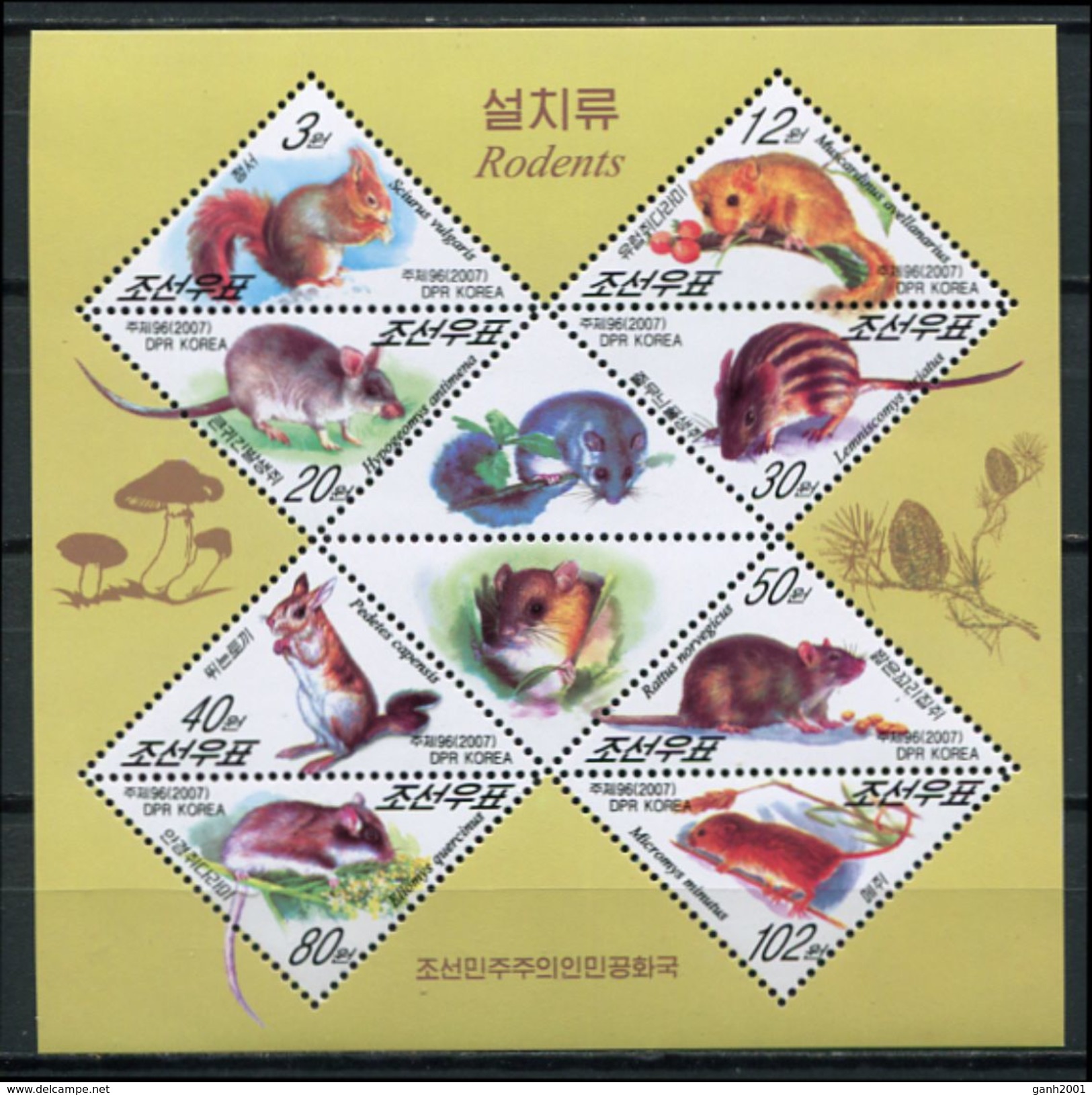 Korea 2007 / Mammals Rodents MNH Mamiferos Roedores Säugetiere / Cu4136  40-4 - Roedores